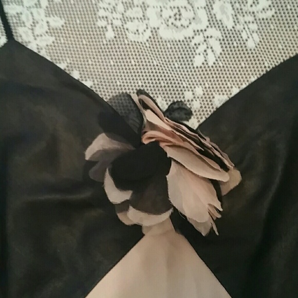 BCBG SZ6 Chiffon/100% SILK  Sheath  Dress NEW WTAG - Picture 5 of 9